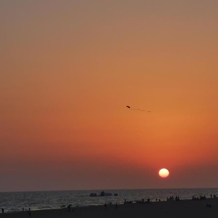 Apartmán Entre Pinos Y Playa Matalascañas Exteriér fotografie