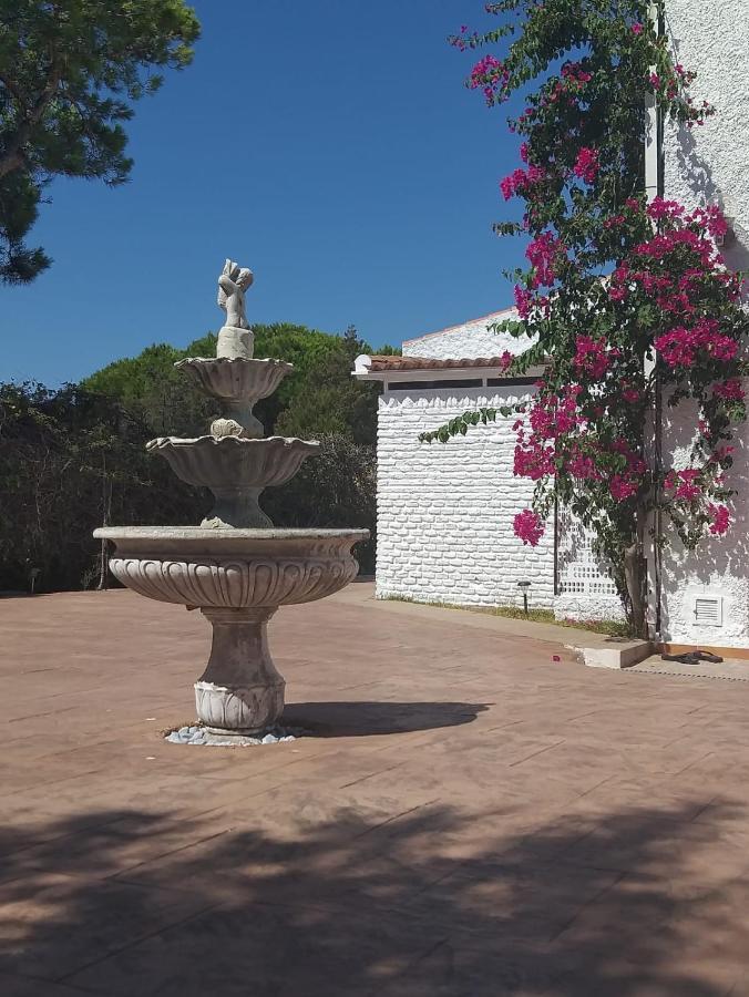 Apartmán Entre Pinos Y Playa Matalascañas Exteriér fotografie